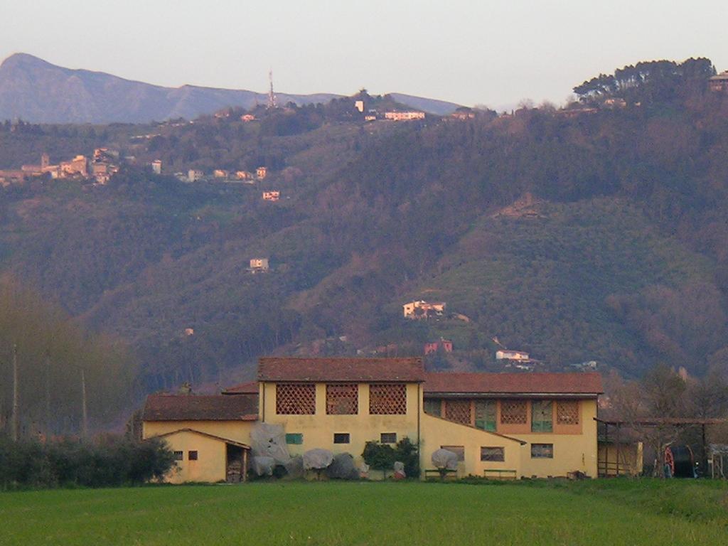 Apartmán Il Chicco D'Oro Massarosa Exteriér fotografie